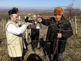 И в Лясковските села грижливите стопани зарязаха…