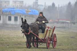 Тодоровден подготвят в три лясковски села