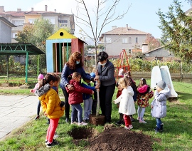 Със засаждането на дръвче децата от детска градина…